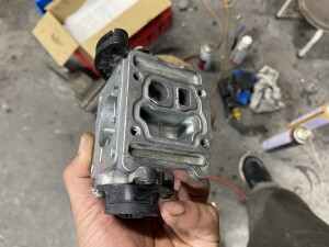 写真 2026-03-13 20 28 19