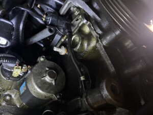 写真 2026-03-16 20 46 02