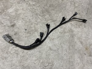 写真 2026-03-10 19 47 22