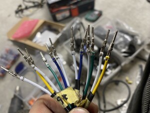 写真 2026-03-10 19 38 56