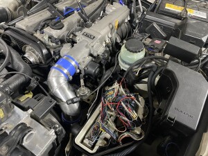 写真 2026-03-18 19 02 34