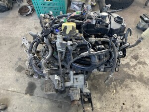 写真 2026-03-14 12 06 36