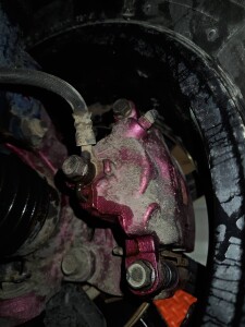 写真 2026-03-01 10 11 08 (3)