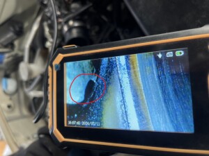 写真 2026-03-11 1 51 11 (6) (1)