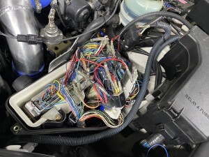 写真 2026-03-18 19 36 32