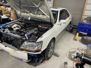 写真 2026-03-18 19 36 55