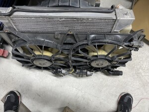 写真 2026-03-12 18 03 33