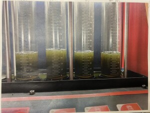 写真 2026-03-05 21 06 21