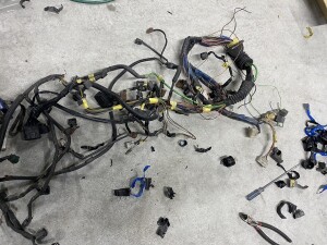 写真 2026-03-02 19 50 19