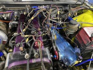 写真 2026-03-11 20 19 53