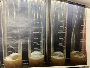 写真 2026-03-05 21 06 15