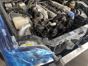 写真 2026-03-23 13 45 56