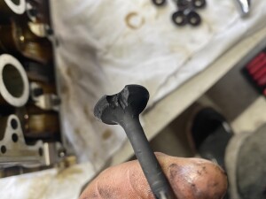 写真 2026-04-06 17 00 55