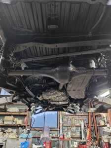 写真 2026-04-13 1 17 42 (2)