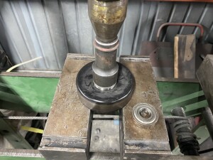 写真 2026-04-03 18 41 35 (1)