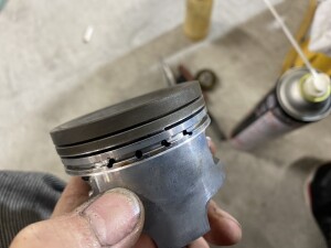 写真 2026-04-09 22 12 02