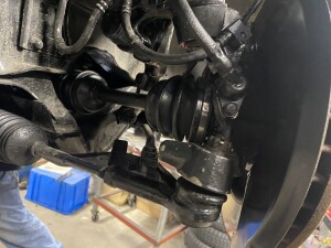 写真 2026-04-03 17 52 33 (1)